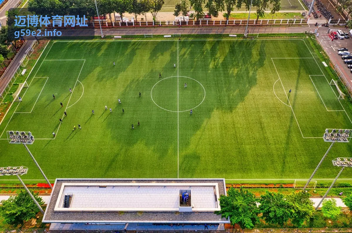 迈博体育网址活动玩法速览封面图